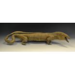 Taxidermy - Varanus indicus, Monotor Lizard,