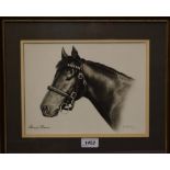 Harry R Nance, (20th century)Shareef Dancer Racehorse, sketch and wash, signed and dated,