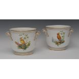 A pair of English porcelain ornithological jardinieres,