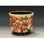 A contemporary Moorcroft planter, designed by Emma Bossons,