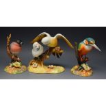 Royal Crown Derby - three studies of birds: a Kingfisher; a chaffinch; both boxed,