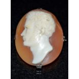 A 19th century carved shell cameo brooch, Gentleman facing right, silver gilt strap work mount,