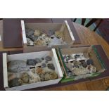 Geological specimens - three boxes of various specimens.