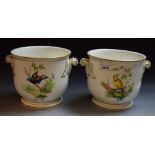 A pair of English porcelain ornithological jardinieres,