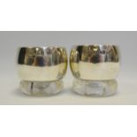 A pair of silver salts