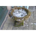 Garden statuary - a composite shallow bird bath