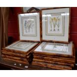 Prints and Pictures - decorative floral and botanical studies, framed and glazed,