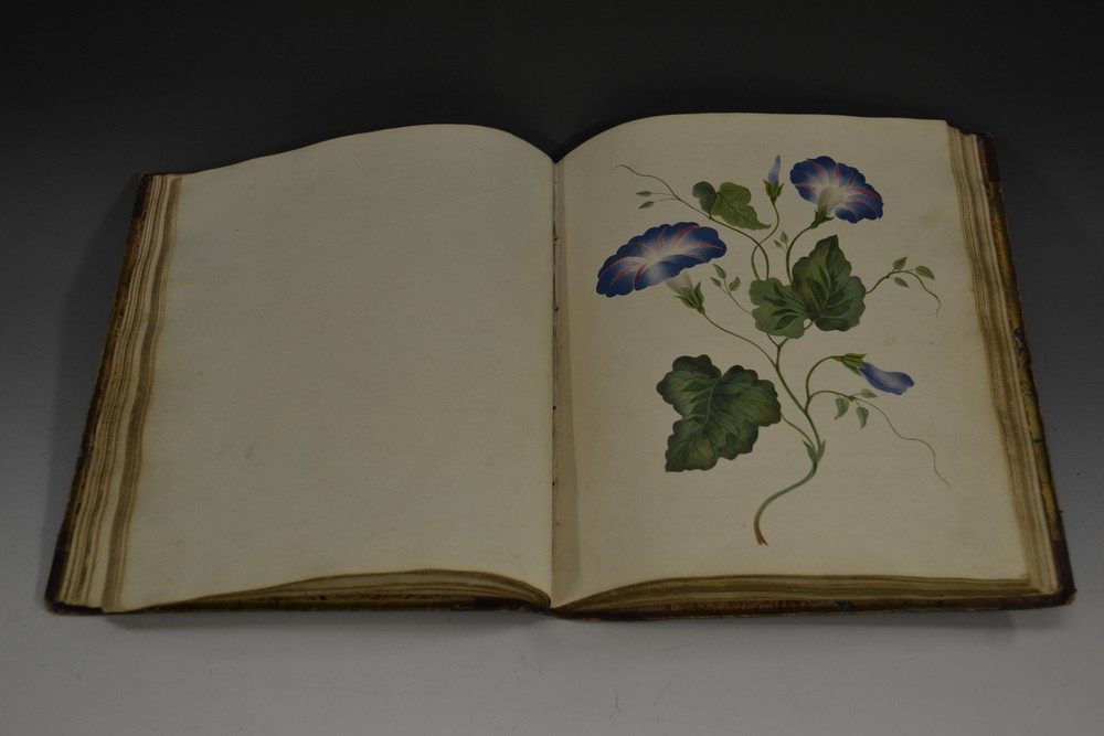 An early 19th century lady's commonplace book, Isabella's Gleanings,