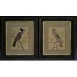 A pair of 20th century feather bird pictures, worked in various colour plumage,
