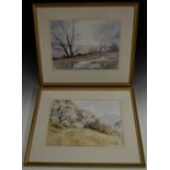 English School (20th century) A Pair, Overlooking Millers Dale and Waterlogged Field Near Fender,