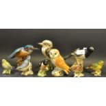 Beswick - Kingfisher; Magpie; Jay; Barn Owl; Nuthatch;