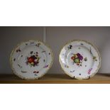 A pair of 19th century Meissen plates, painted with fruits and insects, c.