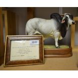 A Royal Worcester Brahman Bull, modelled by Doris Lindner, 18cm high,