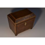 A George III partridge wood sarcophagus tea caddy, hinged cover enclosing a pair of lids,