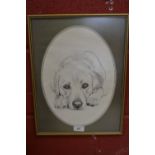 Pollyana Pickering, after, Labrador, monochrome print,