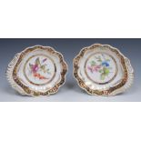 A pair of Spode Botanical shell shaped dishes, painted with colourful convolvolus,