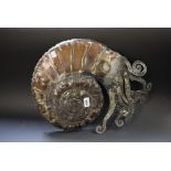 A novelty metal wall hanging sculpture as a fanciful crustacea with tentacles