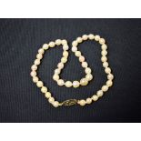 A single strand cultured pearl necklace, uniform sized irregular pearls individually knotted,