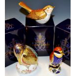 A Royal Crown Derby paperweight, Kingfisher boxed gold stopper; Nightingale, boxed,