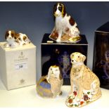 A Royal Crown Derby paperweight, Labrador, boxed, gold stopper; King Charles Spaniel, boxed,