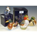 A Royal Crown Derby paperweight, Green Winged Teal, Guild Exclusive, boxed,