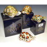 A Royal Crown Derby paperweight, Indian Star Tortoise, boxed, gold stopper; Madagascan Tortoise,