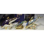 A Royal Crown Derby paperweight, Baby Bottlenose Dolphin, boxed, gold stopper; Dolphin, boxed,