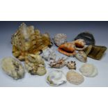 Geology and Conchology - a large Conch shell; a handed agate specimen; a half agate Geode;