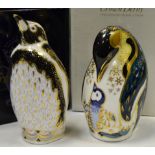 A Royal Crown Derby paperweight, Endangered Species, Galapagos Penguin, boxed ,