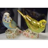 A Royal Crown Derby paperweight, Limited Edition, Sky Blue Budgerigar, boxed,