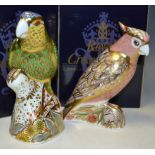 A Royal Crown Derby paperweight, limited edition, Amazon Green Parrot, boxed,