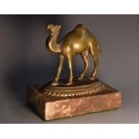 A bronze desk model, of a camel, rectangular marble base, 9.