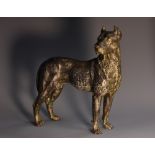 Austrian School (early 20th century), a cold-painted cabinet bronze, of a mastiff,