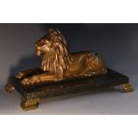 French School (19th century), a gilt patinated bronze, of a recumbent lion,