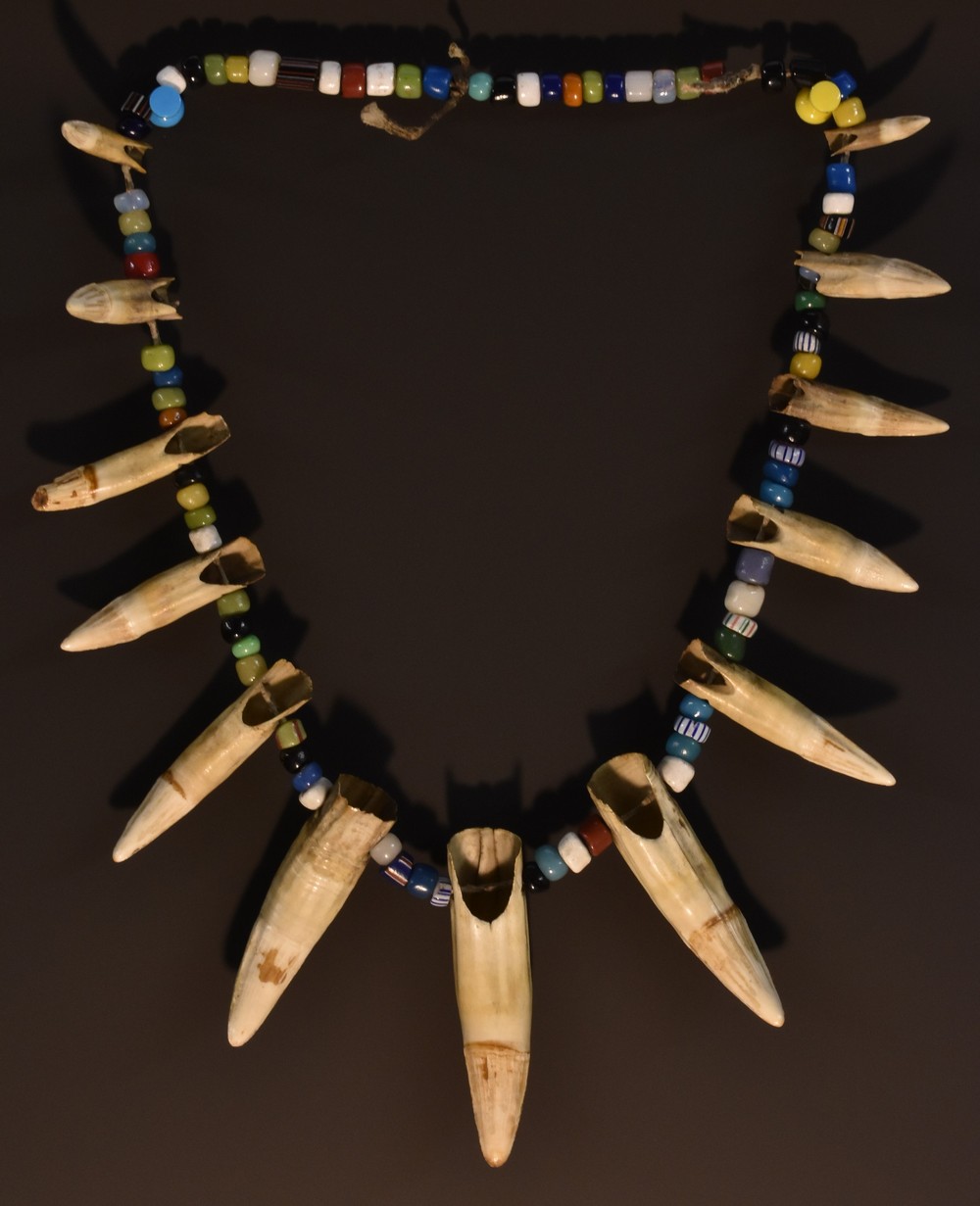 Tribal Art - a sabre teeth and bead necklace,