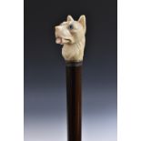 A novelty walking cane, ivorine terrier pommel, inset with glass eyes, white metal ferule,
