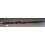 A 19th century thorn wood 'witch's blasting rod',