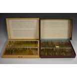 A collection of 100 microscope slides, including rat liver, pancreas, colon, muscle, skin of a palm,