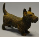 An Austrian cold painted bronze, of a terrier, c.