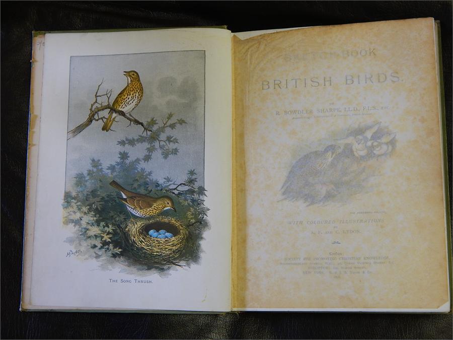 Sketchbook of British Birds (R.Bowdler Sharpe) LL.D, F.L.S with coloured illustrations by A.F & C. - Image 5 of 21