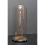 A large 19th century glass dome and base. cm Note: we will not post these.