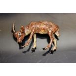 An Austrian Cold Painted Bronze roe deer