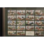 Horseracing interest - Downland - a set of 24 coloured Cigarette / Tobacco cards of horses and