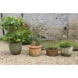 garden pots / planters inc terracotta (as found), basket effect, olive colour, concrete.