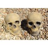 weatherproof pair of skulls