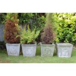 Four weathered composition square tapered garden planters ( plants removed ) with Prince of Wales