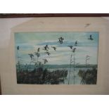 three peter scott prints (1945 teal on a grey morning, pink footed geese coming out from fields, and