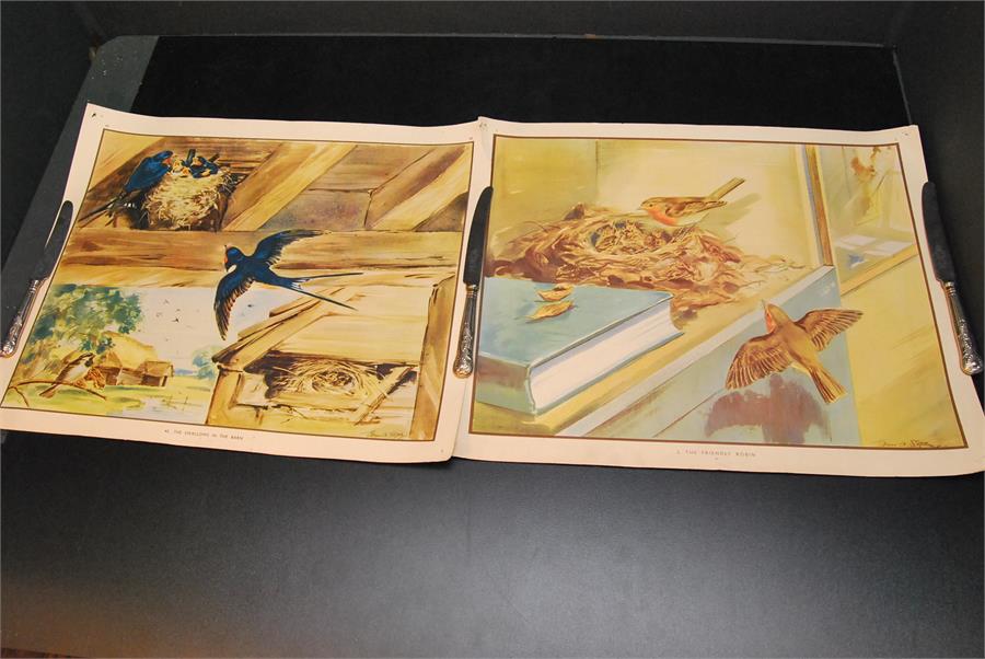 Two 1940's vintage educational school posters of birds - ornithological interest.