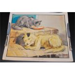 A 1940's Vintage educational school poster of cat and dog