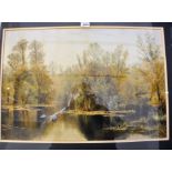 WATERCOLOUR OF A LAKE EDGE SCENE WITH SWANS AND BIRDS SIGNED E J D 18.5" X 27.